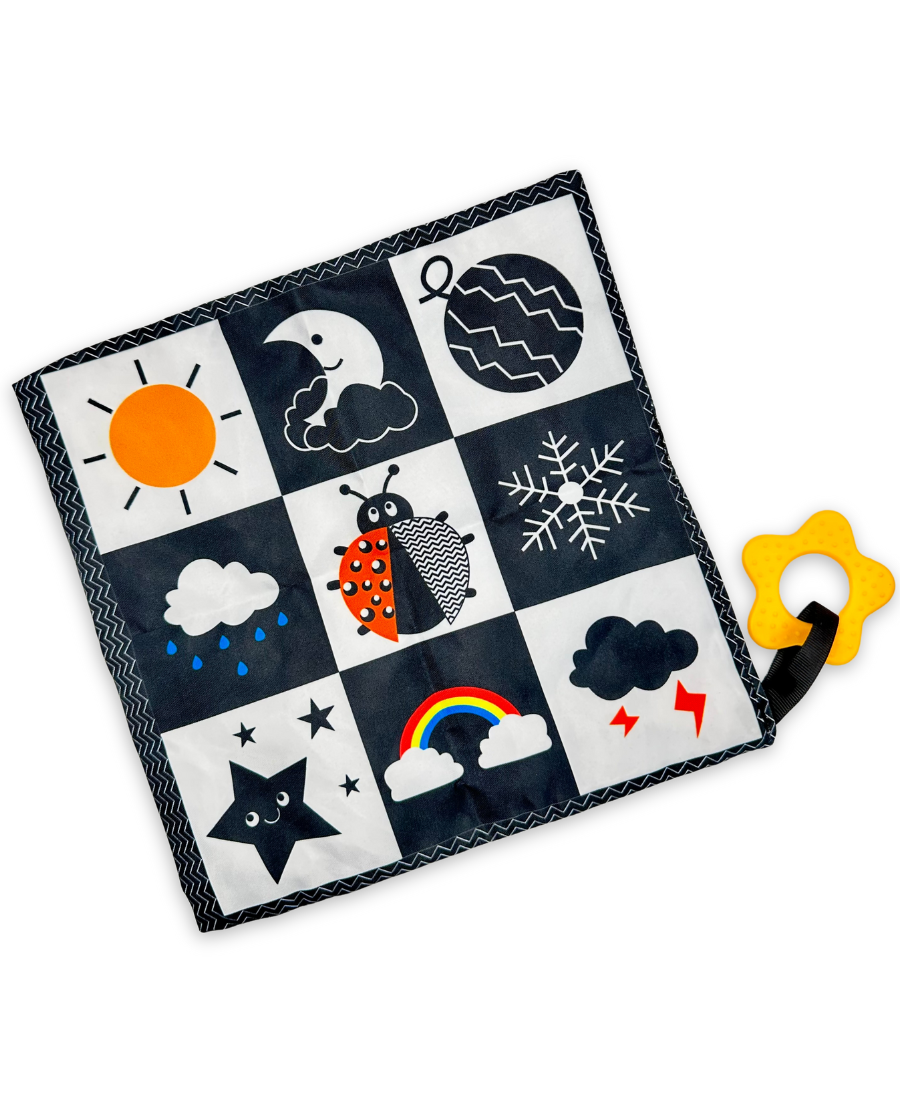 Early Education Black and White High Contrast Bundle