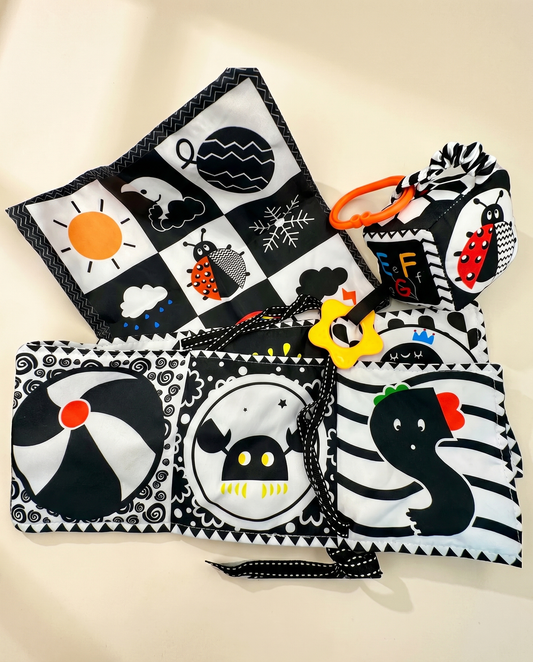 Early Education Black and White High Contrast Sensory Toys Set